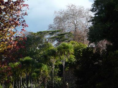  A winter explosion of colours in an unassuming park